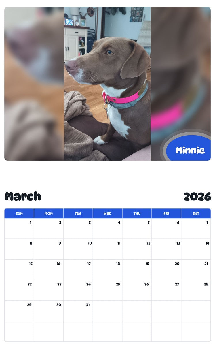 November 2025 - October 2026 Minnie - Pawidols Pet Calendar