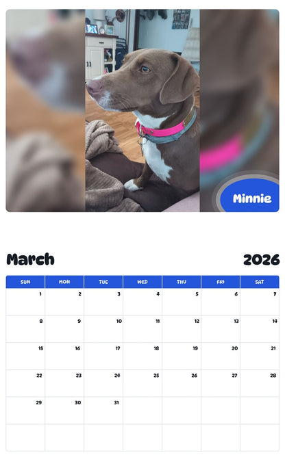 November 2025 - October 2026 Minnie - Pawidols Pet Calendar