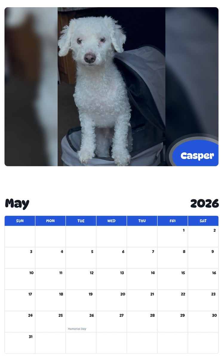 2026 - 2027 Casper - Pawidols Pet Calendar