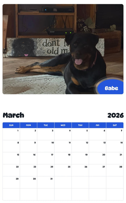 November 2025 - October 2026 Babe - Pawidols Pet Calendar