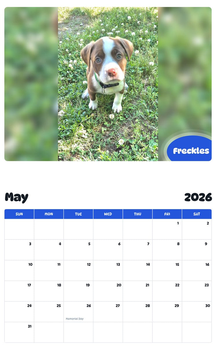 2026 - 2027 Freckles - Pawidols Pet Calendar