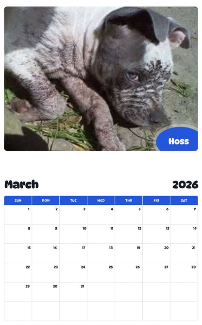 November 2025 - October 2026 Hoss - Pawidols Pet Calendar