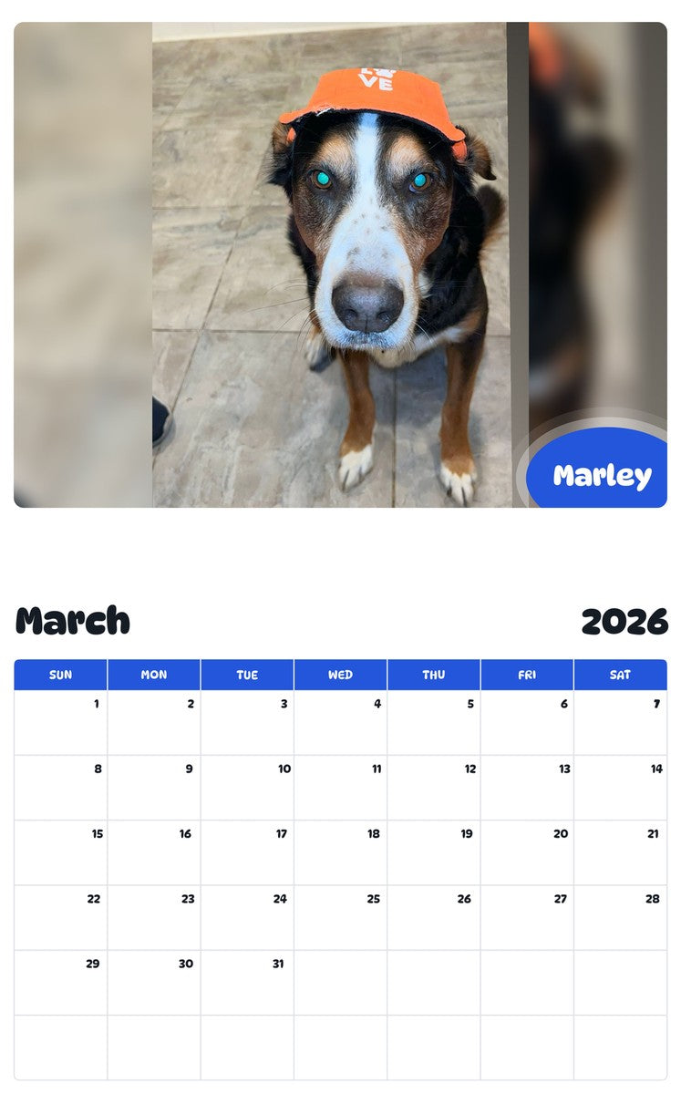 November 2025 - October 2026 Marley - Pawidols Pet Calendar
