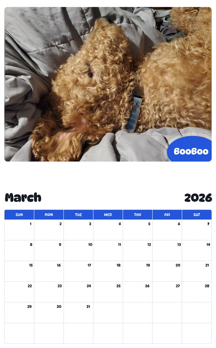 November 2025 - October 2026 BooBoo - Pawidols Pet Calendar