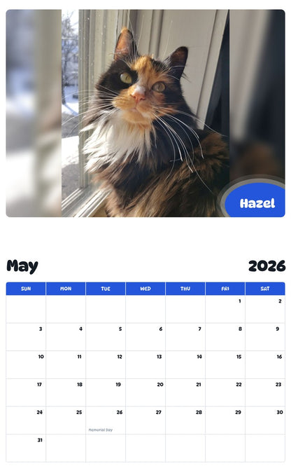 2026 - 2027 Hazel - Pawidols Pet Calendar