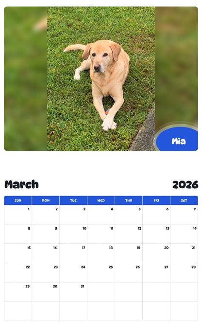 November 2025 - October 2026 Mia - Pawidols Pet Calendar