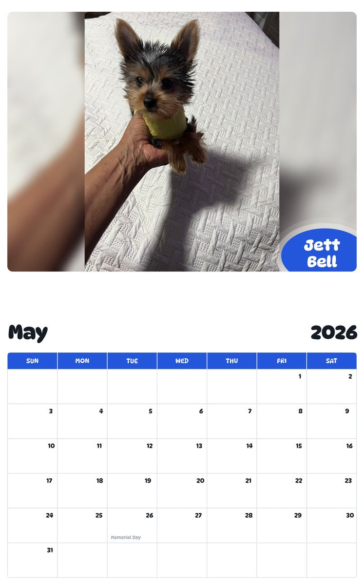2026 - 2027 Jett Bell - Pawidols Pet Calendar