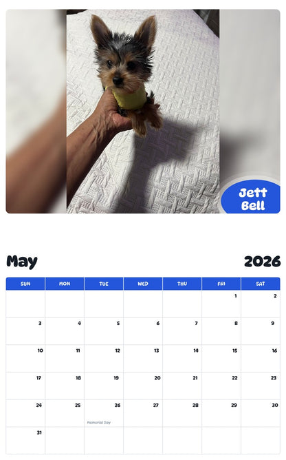 2026 - 2027 Jett Bell - Pawidols Pet Calendar