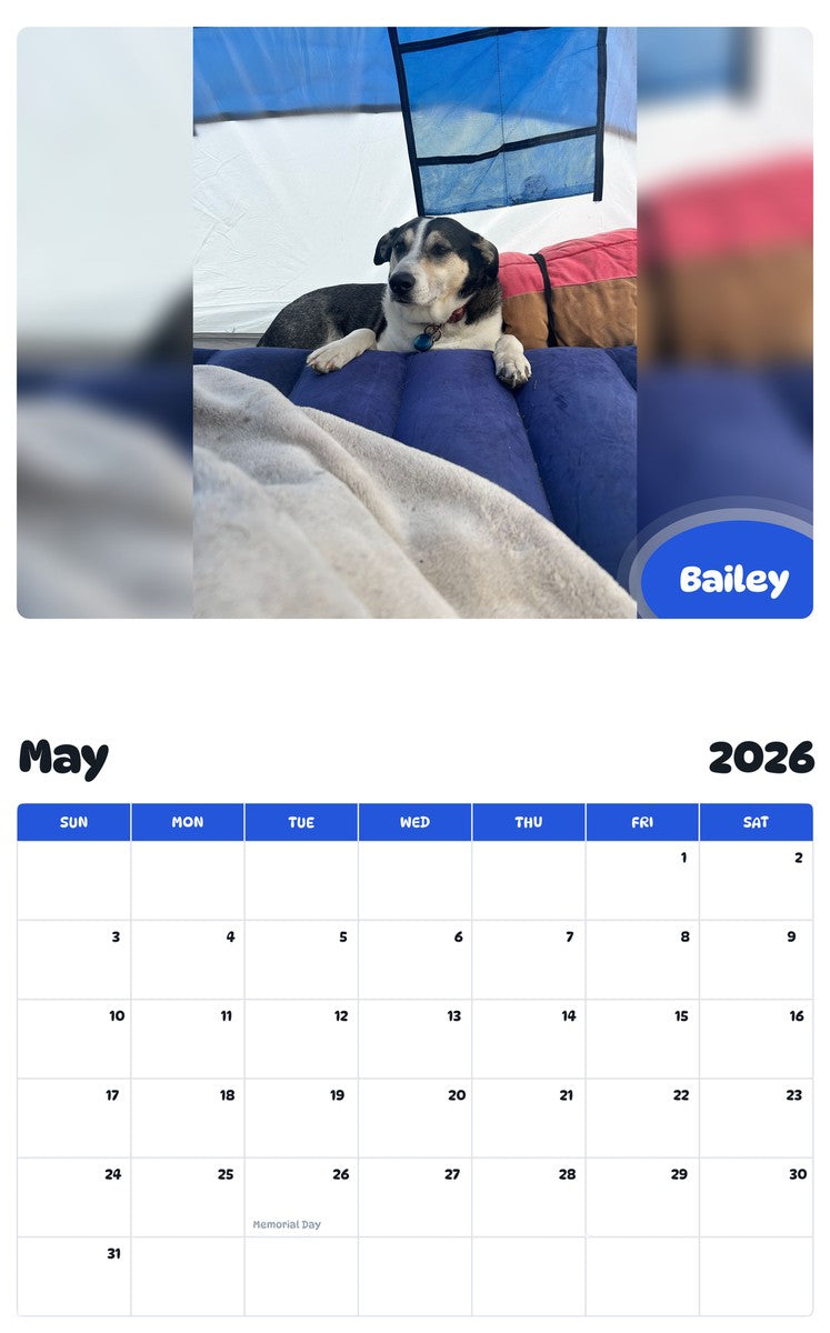 2026 - 2027 Bailey - Pawidols Pet Calendar