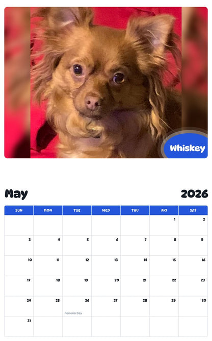 2026 - 2027 Whiskey - Pawidols Pet Calendar