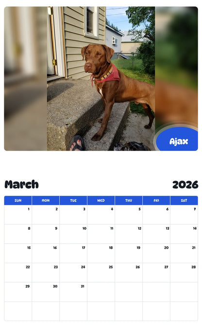 November 2025 - October 2026 Ajax - Pawidols Pet Calendar
