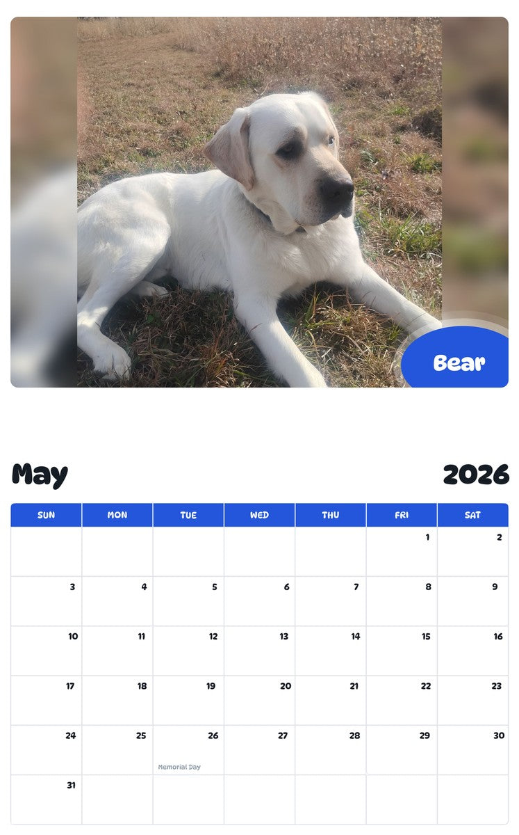 2026 - 2027 Bear - Pawidols Pet Calendar
