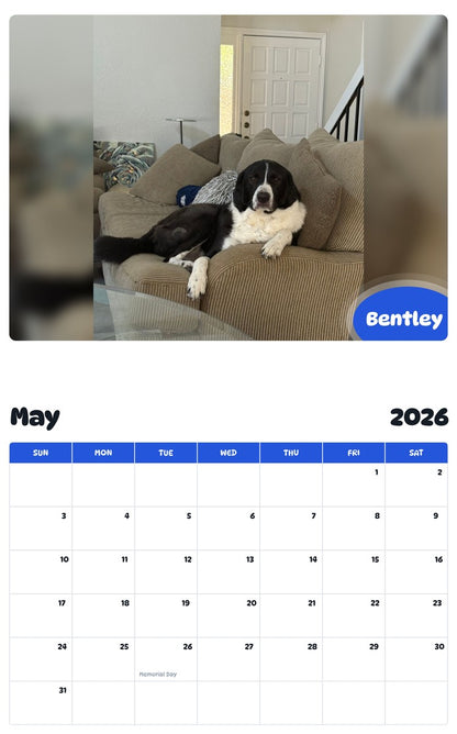 2026 - 2027 Bentley - Pawidols Pet Calendar
