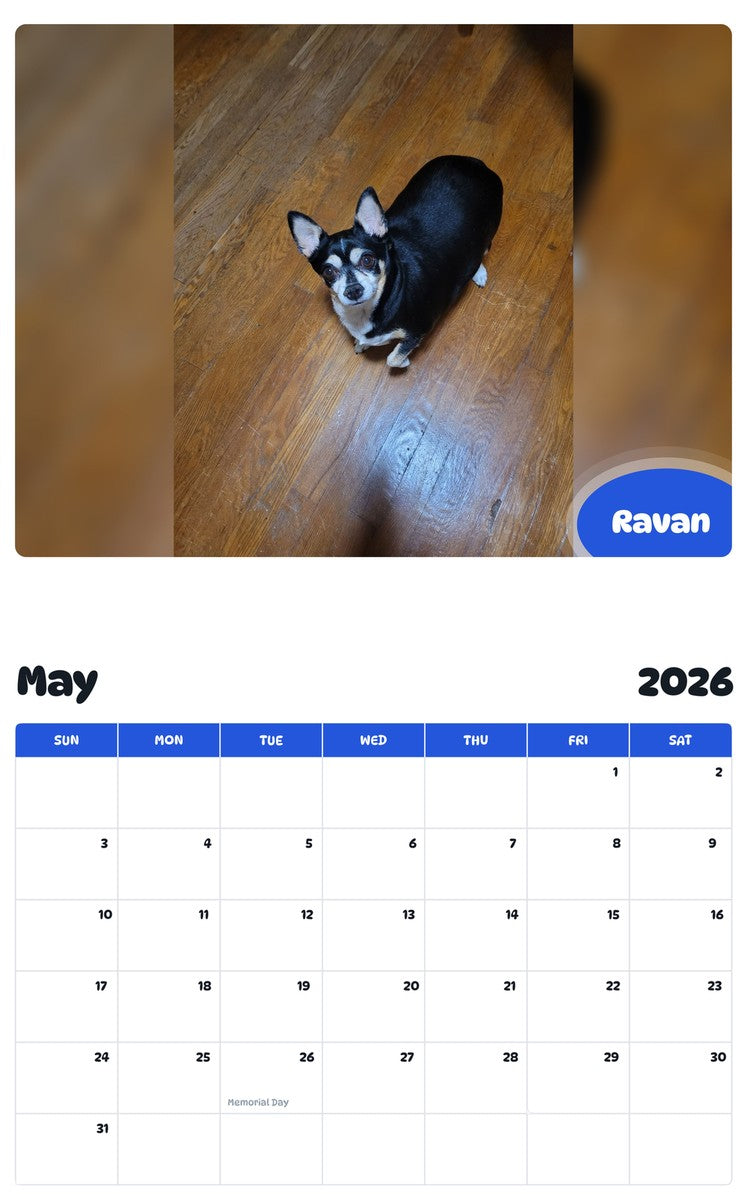 2026 - 2027 Ravan - Pawidols Pet Calendar