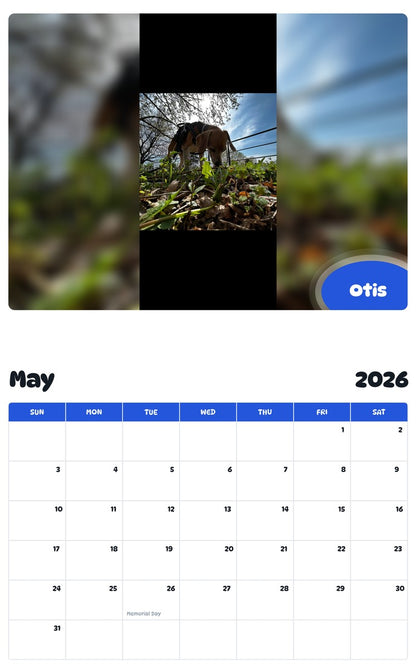 2026 - 2027 Otis - Pawidols Pet Calendar