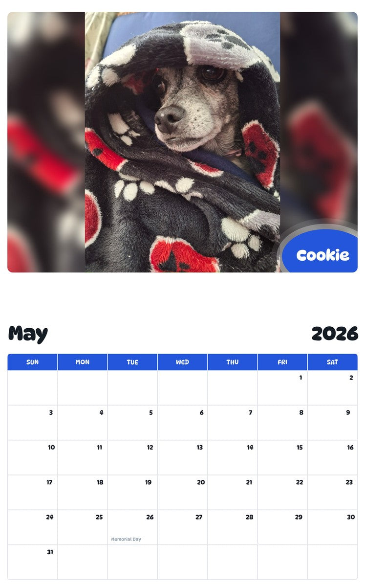 2026 - 2027 Cookie - Pawidols Pet Calendar