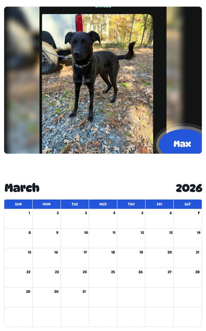 November 2025 - October 2026 Max - Pawidols Pet Calendar