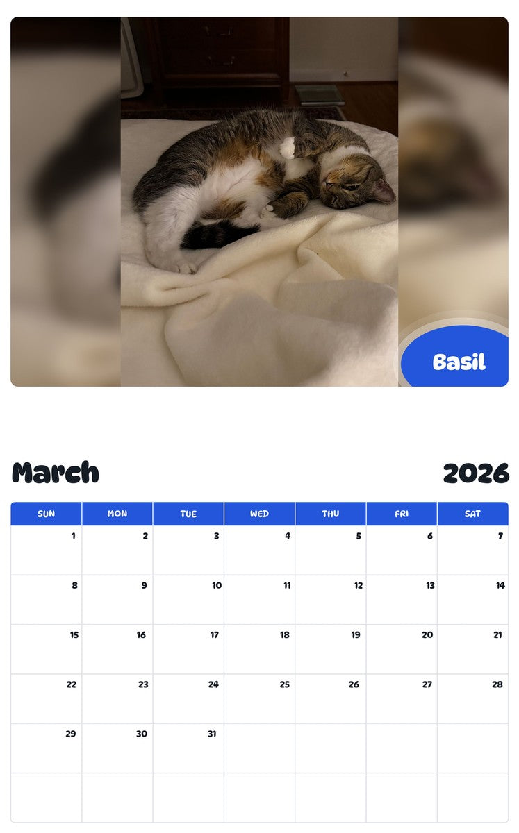 November 2025 - October 2026 Basil - Pawidols Pet Calendar