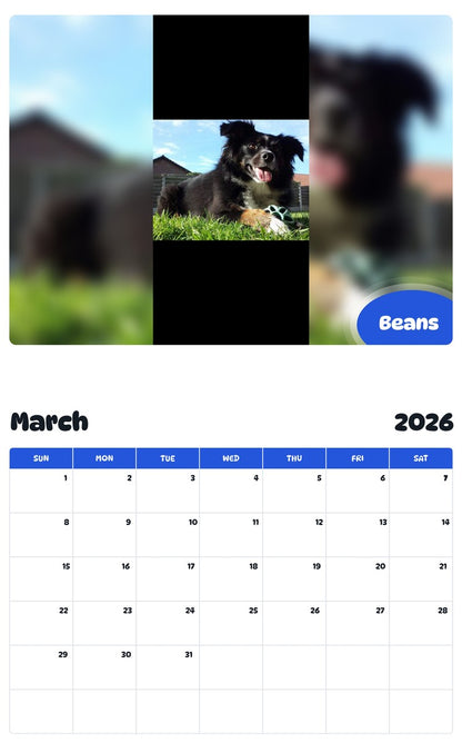 November 2025 - October 2026 Beans - Pawidols Pet Calendar