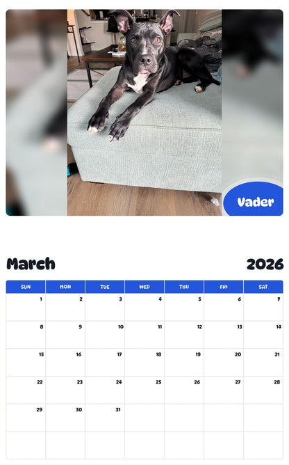 November 2025 - October 2026 Vader - Pawidols Pet Calendar