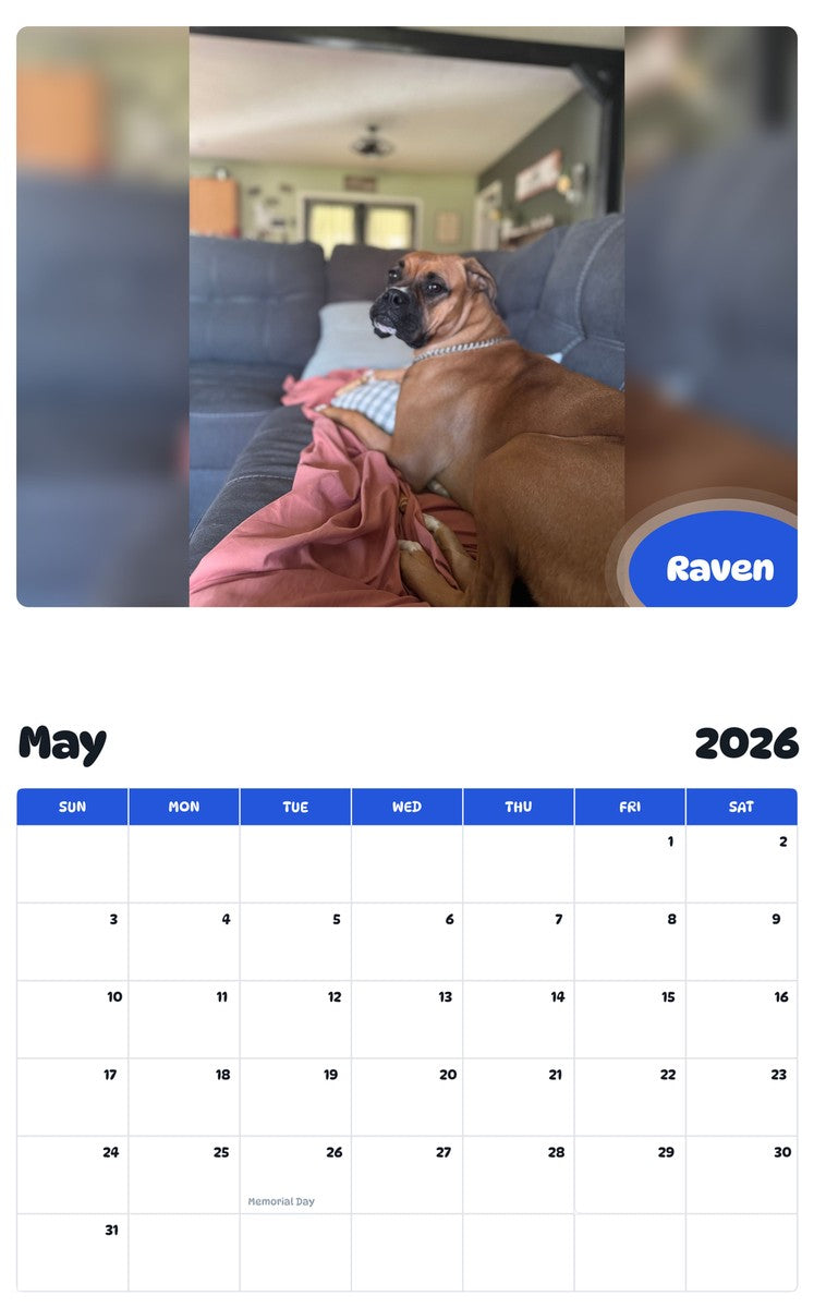 2026 - 2027 Raven - Pawidols Pet Calendar