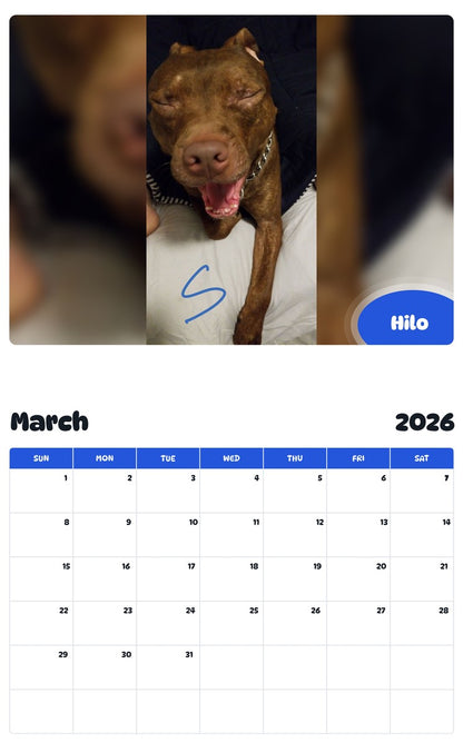 November 2025 - October 2026 Hilo - Pawidols Pet Calendar