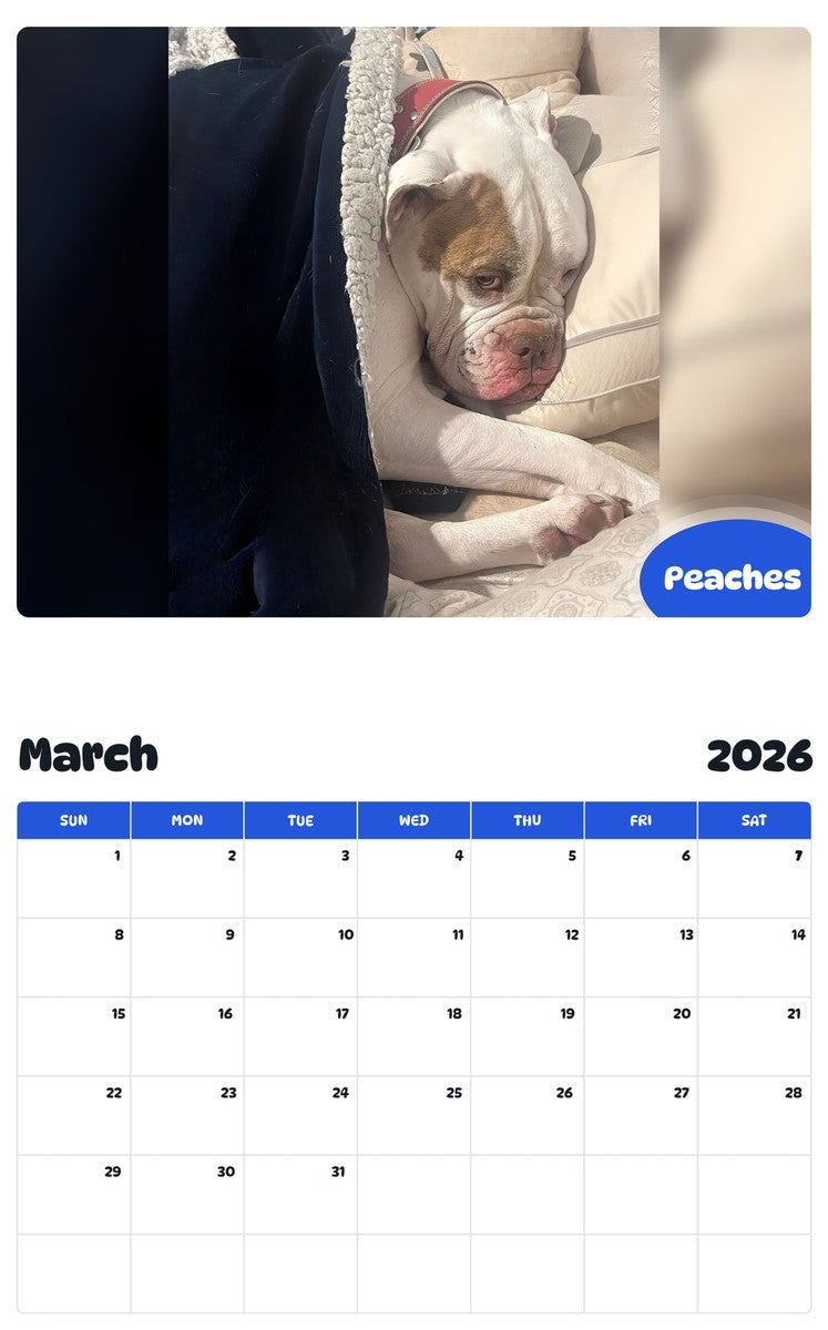 November 2025 - October 2026 Peaches - Pawidols Pet Calendar