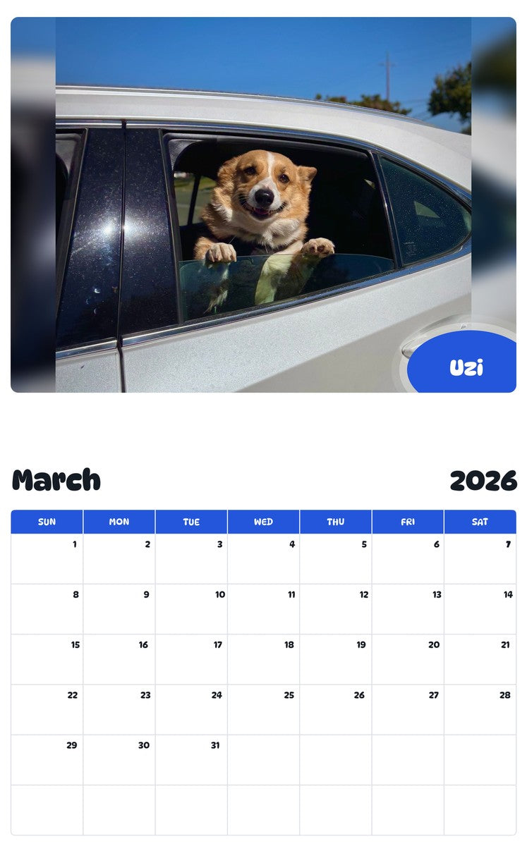 November 2025 - October 2026 Uzi - Pawidols Pet Calendar