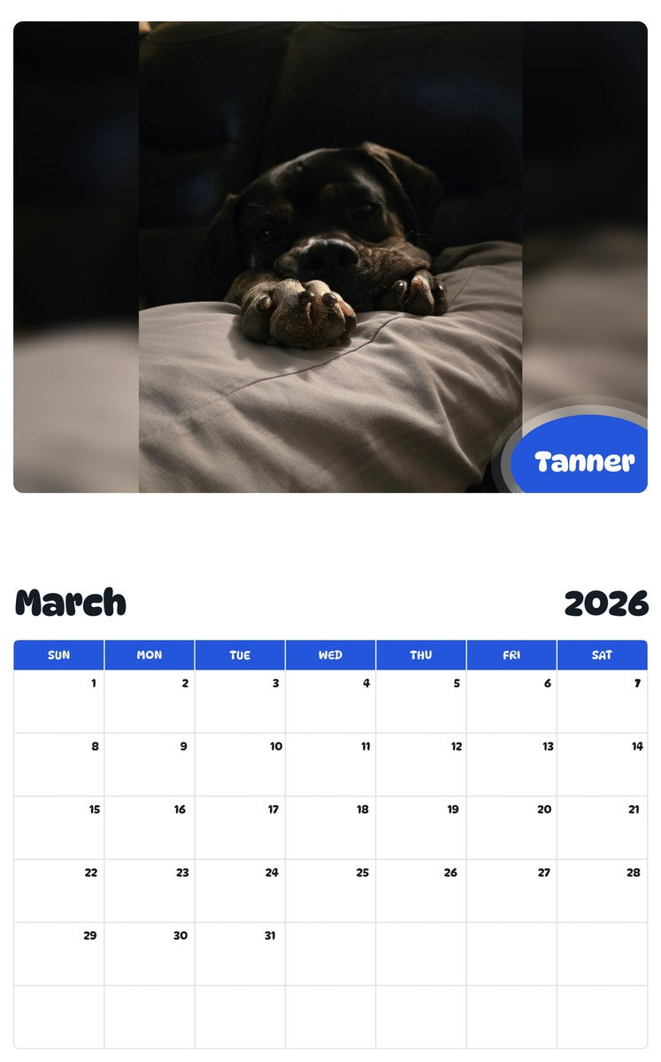 November 2025 - October 2026 Tanner - Pawidols Pet Calendar