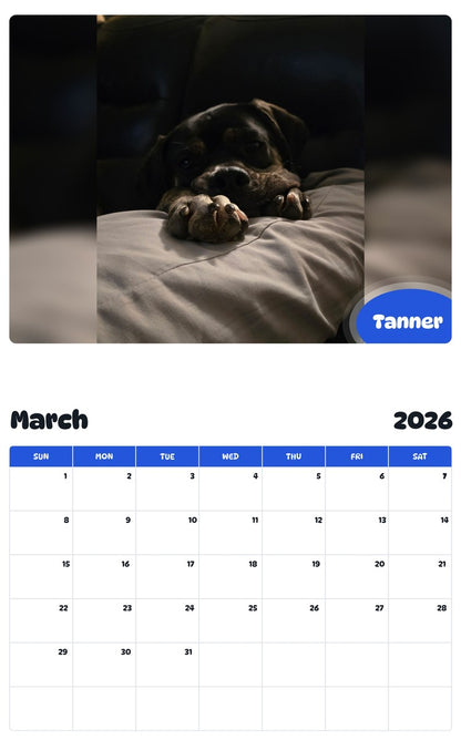 November 2025 - October 2026 Tanner - Pawidols Pet Calendar