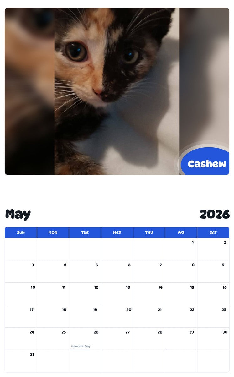 2026 - 2027 Cashew - Pawidols Pet Calendar