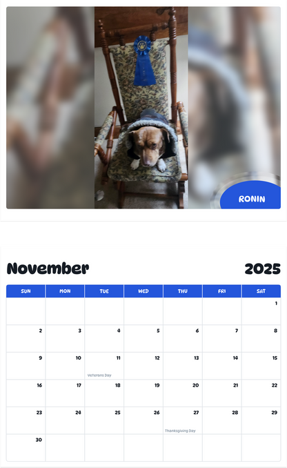 July 2025 - June 2026 Ronin - Pawidols Pet Calendar