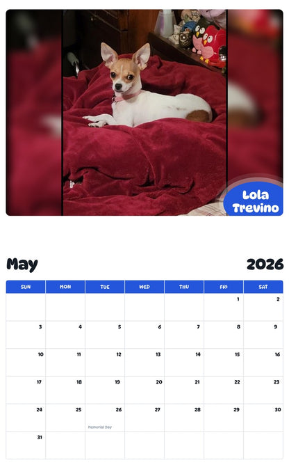 2026 - 2027 Lola Trevino - Pawidols Pet Calendar