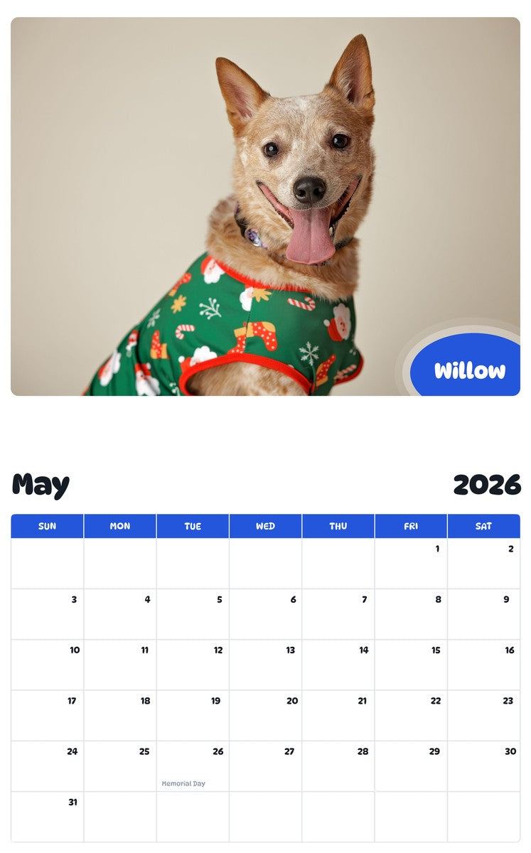 2026 - 2027 Willow - Pawidols Pet Calendar