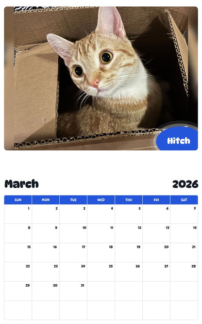 November 2025 - October 2026 Hitch - Pawidols Pet Calendar