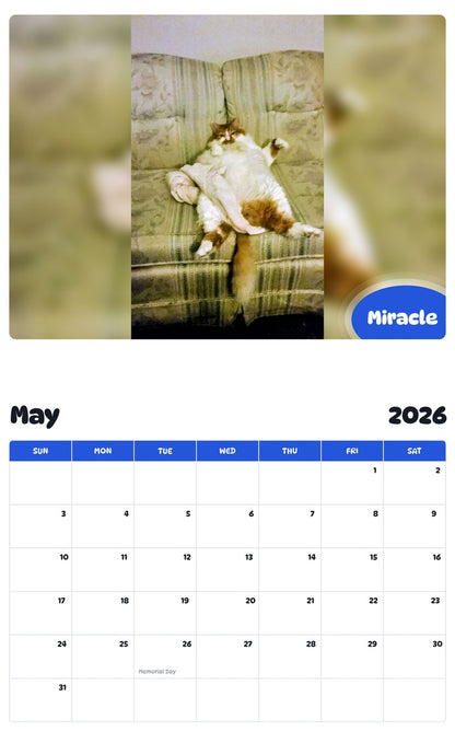 2026 - 2027 Miracle - Pawidols Pet Calendar