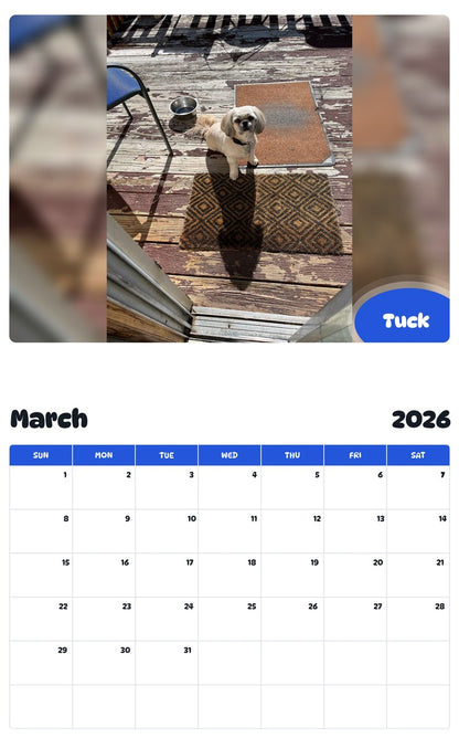 November 2025 - October 2026 Tuck - Pawidols Pet Calendar