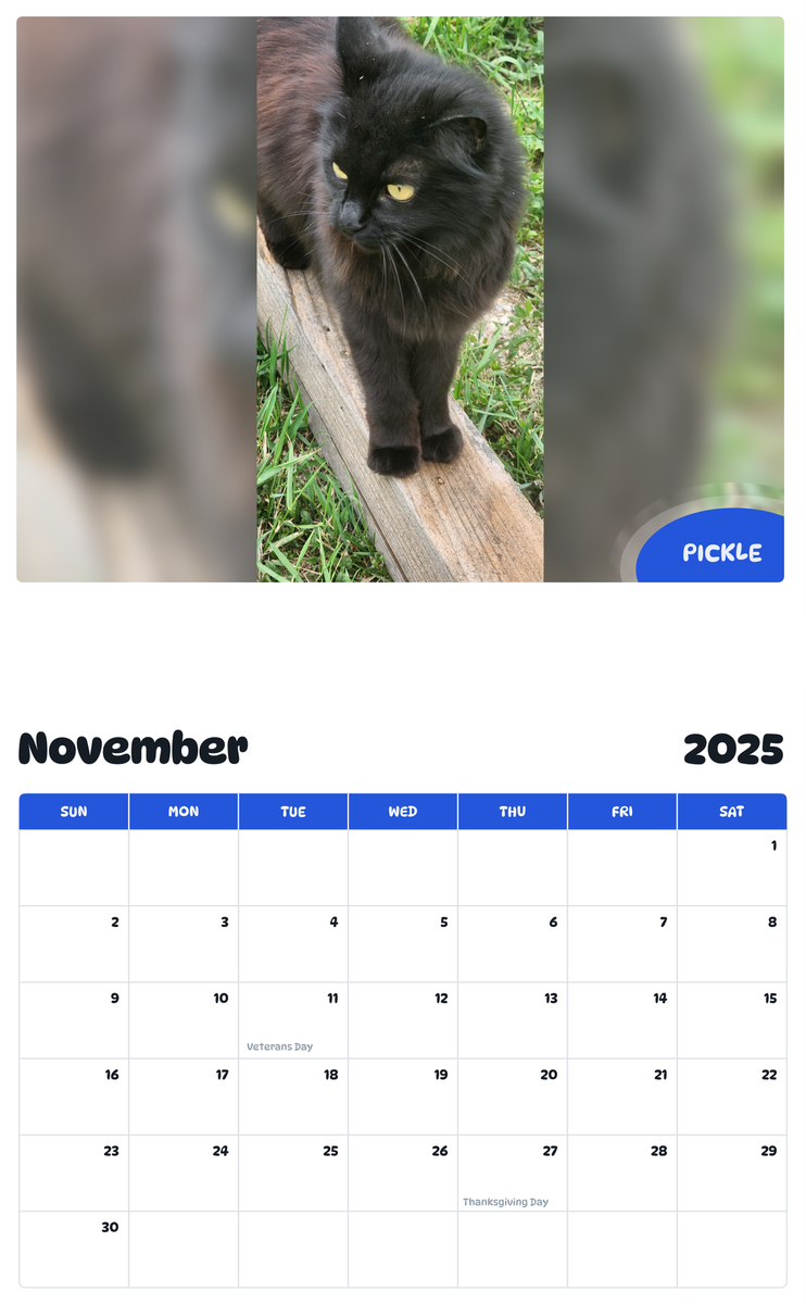 July 2025 - June 2026 Pickle - Pawidols Pet Calendar