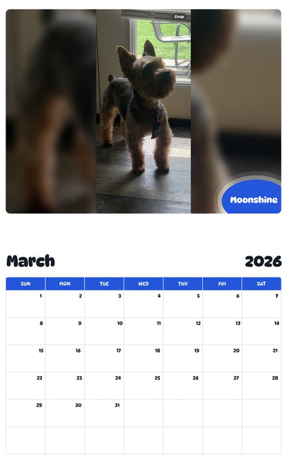 November 2025 - October 2026 Moonshine - Pawidols Pet Calendar