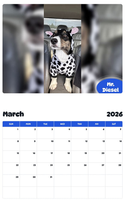 November 2025 - October 2026 Mr. Diesel - Pawidols Pet Calendar