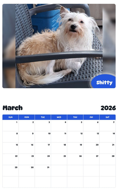 November 2025 - October 2026 Shitty - Pawidols Pet Calendar