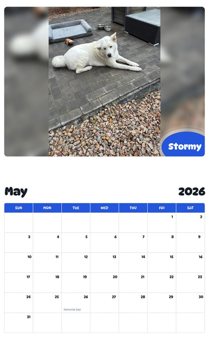 2026 - 2027 Stormy - Pawidols Pet Calendar