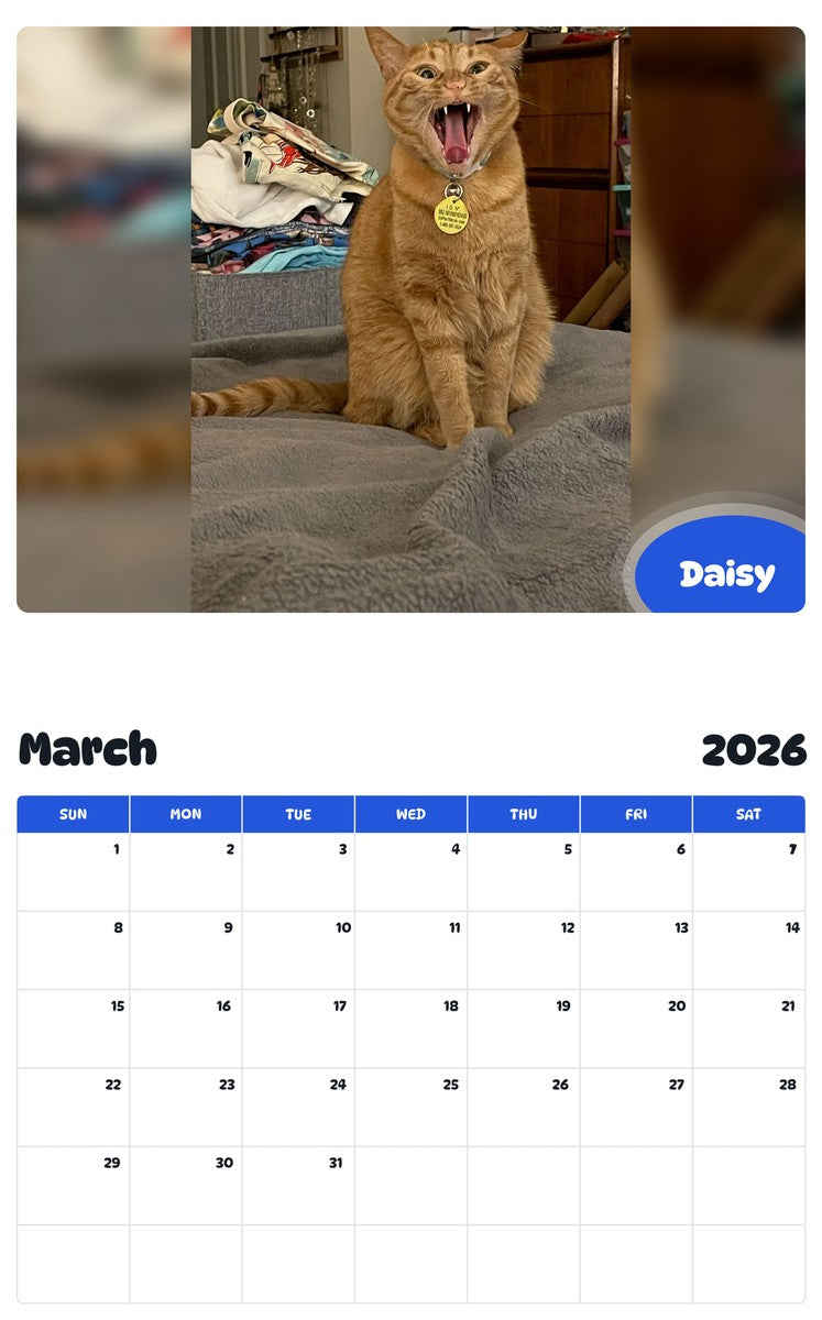 November 2025 - October 2026 Daisy - Pawidols Pet Calendar