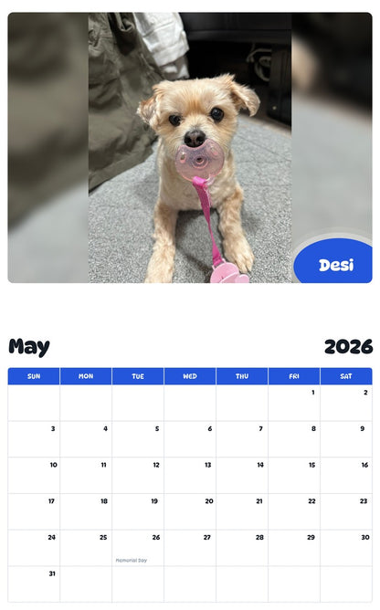 2026 - 2027 Desi - Pawidols Pet Calendar