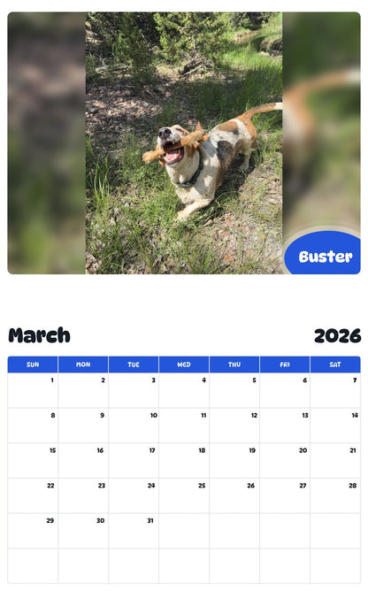 November 2025 - October 2026 Buster - Pawidols Pet Calendar