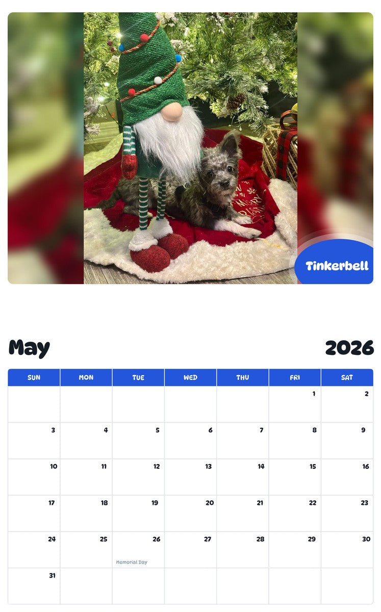 2026 - 2027 Tinkerbell - Pawidols Pet Calendar