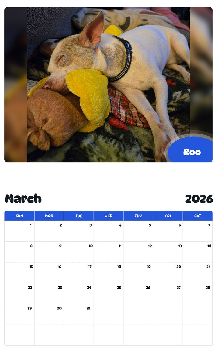 November 2025 - October 2026 Roo - Pawidols Pet Calendar