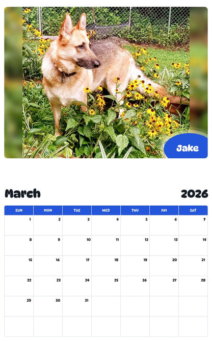 November 2025 - October 2026 Jake - Pawidols Pet Calendar