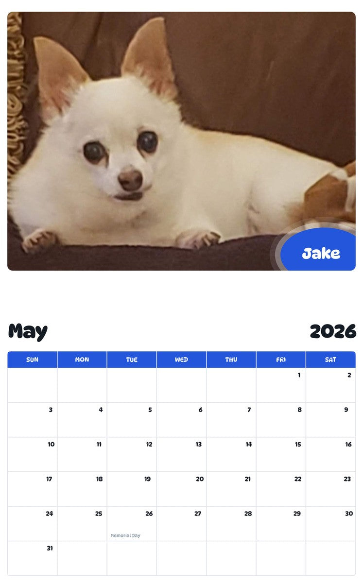 2026 - 2027 Jake - Pawidols Pet Calendar