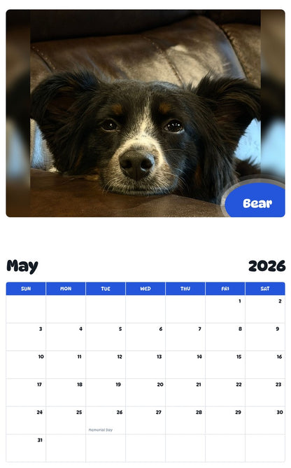 2026 - 2027 Bear - Pawidols Pet Calendar